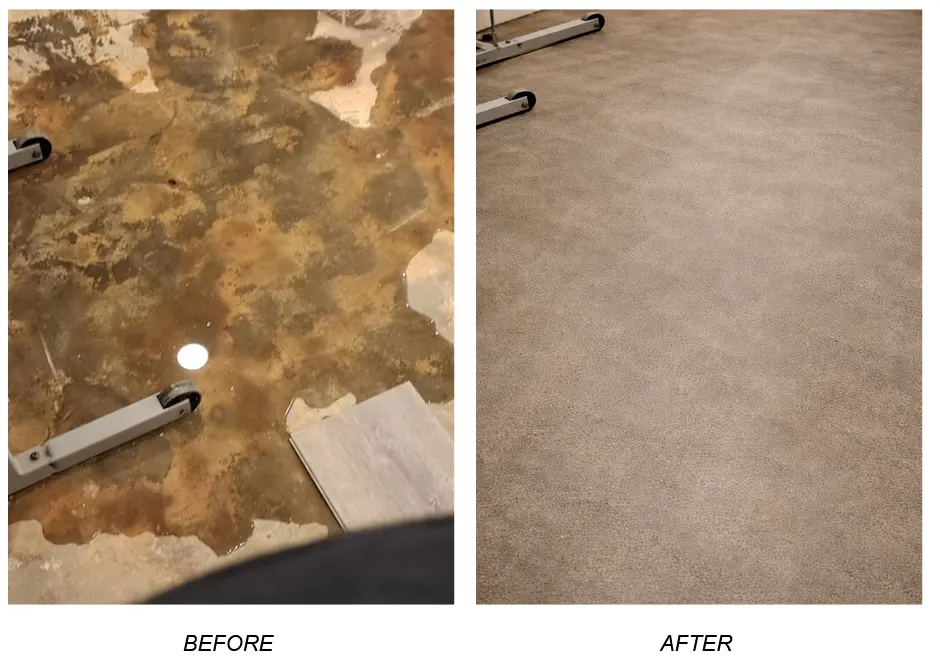Basement Cleanup